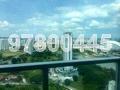 Southbank (D7), Apartment #168206922